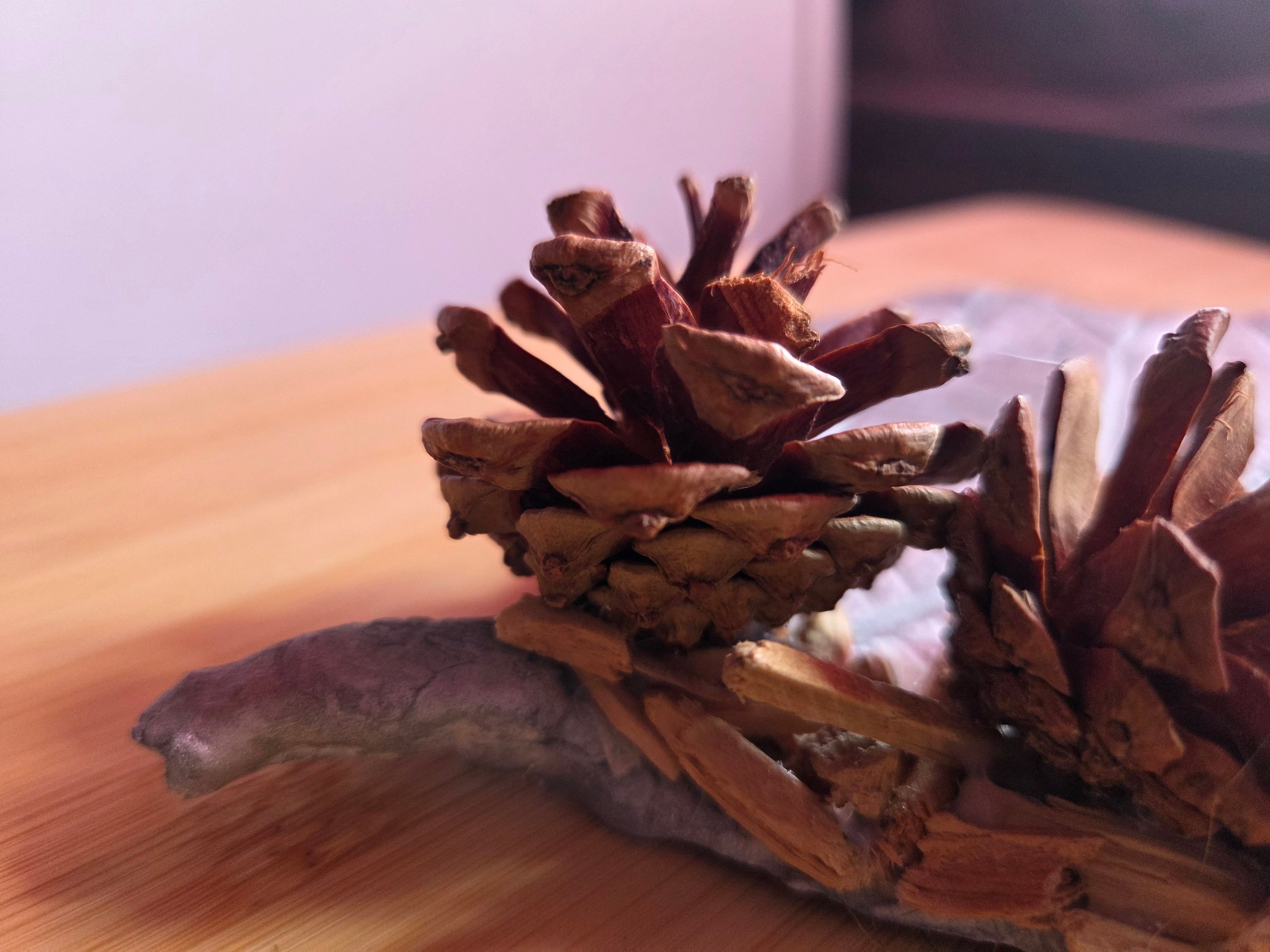Petit plateau décoratif en argile peint – Pommes de pin